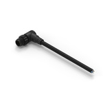 Wurth Elektronik Cable Assembly