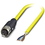 Phoenix Contact Straight Female 5 way M12 to Unterminated Sensor Actuator Cable, 5m