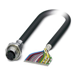 Phoenix Contact Female 17 way M12 to Sensor Actuator Cable, 1m