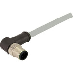 HARTING Right Angle Male 12 way M12 to Unterminated Sensor Actuator Cable, 1m