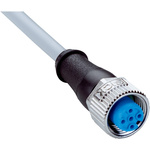 Sick Straight Female 4 way M12 to 4 way Unterminated Sensor Actuator Cable, 2m