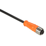 Telemecanique Sensors Straight Female 4 way M12 to Unterminated Sensor Actuator Cable, 2m