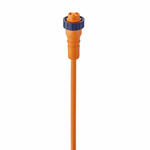 Lumberg Automation Straight Female 5 way 7/8 in Circular to Unterminated Sensor Actuator Cable, 5m