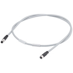 Siemens Straight Male 4 way M8 to Straight Female 4 way M8 Sensor Actuator Cable, 2m