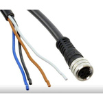 Molex Female 4 way M8 to Unterminated Sensor Actuator Cable, 2m