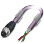 Phoenix Contact Straight Male M12 to Unterminated Bus Cable, 2m