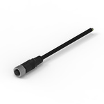 Wurth Elektronik Cable Assembly