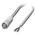 Phoenix Contact Female 5 way M12 to 5 way Unterminated Sensor Actuator Cable, 3m