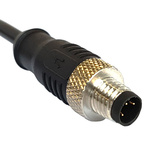 Bulgin Straight Male 12 way M12 to Unterminated Sensor Actuator Cable, 1m