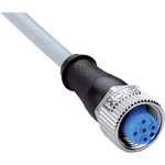 Sick Straight Female 5 way M12 to Unterminated Sensor Actuator Cable, 5m