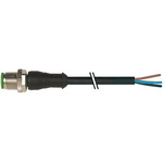 Murrelektronik Limited Straight Female 5 way M12 to Unterminated Sensor Actuator Cable, 3m