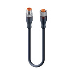 Lumberg Automation Straight Male 5 way M12 to Straight Female 5 way M12 Sensor Actuator Cable, 15m