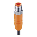 Lumberg Automation Straight Male 4 way M12 to Unterminated Sensor Actuator Cable, 2m