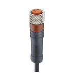 Lumberg Automation Straight Female 3 way M8 to Unterminated Sensor Actuator Cable, 20m