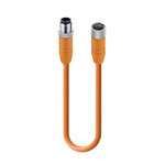 Lumberg Automation 5 way M12 to Unterminated Sensor Actuator Cable, 5m