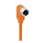 Lumberg Automation Right Angle Female 4 way M12 to Unterminated Sensor Actuator Cable, 2m