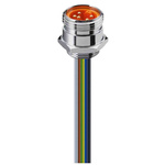 Lumberg Automation Cable Assembly