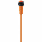 Lumberg Automation Straight Male 2 way 7/8 in Circular to Unterminated Sensor Actuator Cable, 1.9m