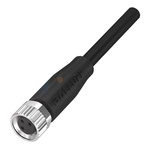 BALLUFF Straight Female M8 to Unterminated Sensor Actuator Cable, 1.5m