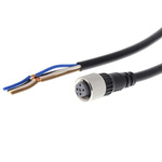 Omron Straight Female M12 to Unterminated Sensor Actuator Cable, 2m