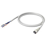 Omron Straight Female M12 to Unterminated Sensor Actuator Cable, 3m