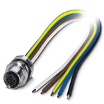 Phoenix Contact Straight Female M12 to Unterminated Sensor Actuator Cable, 500mm