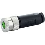 Murrelektronik Limited Straight Female 3 way M8 to Connector, 40mm