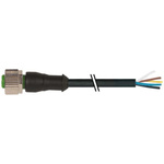 Murrelektronik Limited Straight Female 5 way M12 to Connector & Cable, 10m