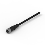 Wurth Elektronik Cable Assembly