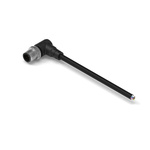 Wurth Elektronik Cable Assembly