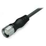 Wago Right Angle Female 19 way M23 to Unterminated Actuator/Sensor Cable, 15m