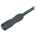 Binder Male 8 way Snap-in 16mm Circular to Unterminated Sensor Actuator Cable, 2m