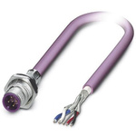 Phoenix Contact Straight Male 5 way M12 to Unterminated Bus Cable, 1m