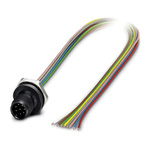 Phoenix Contact Male 6 way M12 to Sensor Actuator Cable, 500mm