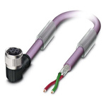 Phoenix Contact Right Angle Female 2 way M12 to Unterminated Bus Cable, 2m