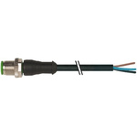 Murrelektronik Limited Straight Male 4 way M12 to Unterminated Power Cable, 10m