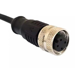 Bulgin Straight Female 8 way M12 to Unterminated Sensor Actuator Cable, 1m