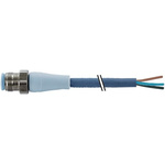 Murrelektronik Limited Straight Female 4 way M12 to Unterminated Sensor Actuator Cable, 3m