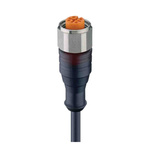 Lumberg Automation Straight 4 way M12 to Unterminated Sensor Actuator Cable, 300mm