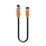 Lumberg Automation 4 way M12 to Unterminated Sensor Actuator Cable, 3m