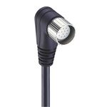 Lumberg Automation Right Angle Female 19 way M23 to Unterminated Sensor Actuator Cable, 10m