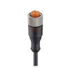 Lumberg Automation Straight Female 8 way M12 to Unterminated Sensor Actuator Cable, 5m