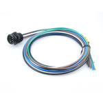 Brad from Molex Straight Male 5 way 1/2 in Circular to Unterminated Sensor Actuator Cable, 1m