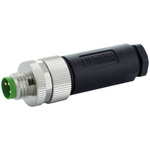 Murrelektronik Limited Straight Male 4 way M8 to Connector, 45mm