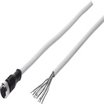 Festo Straight Female 8 way M12 to Straight 8 way Pigtail Connector & Cable, 5m