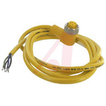 Turck Right Angle Female 5 way 7/8 in Circular to Unterminated Sensor Actuator Cable, 5m