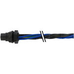 Murrelektronik Limited Straight Female 6 way MQ15-X-Power to Unterminated Sensor Actuator Cable, 500mm