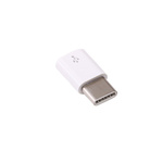 Raspberry Pi Micro USB to USB C Adapter in White