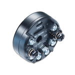 Baumer Temperature Transmitter PT100 Input, 7 → 40 V