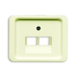 ABB White 2 Gang Plastic RJ45 Cover Plate